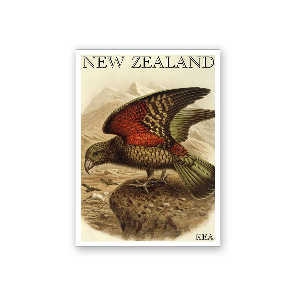 Art Magnet Bullers Kea