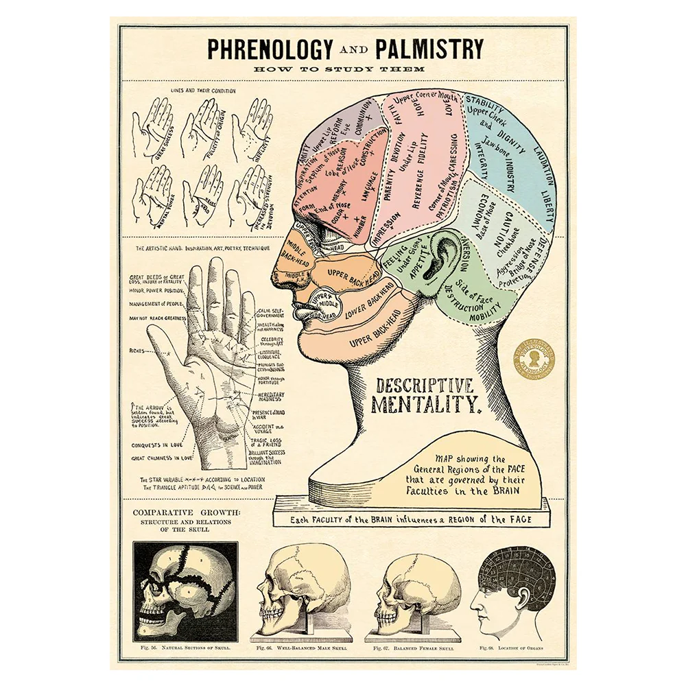 Cavallini Vintage Poster Phrenology and Palmistry