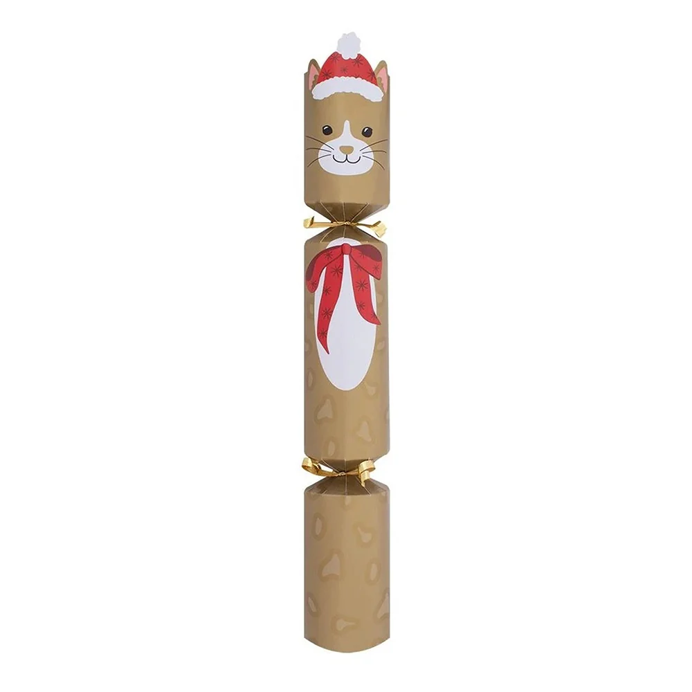 Christmas Cracker Cat