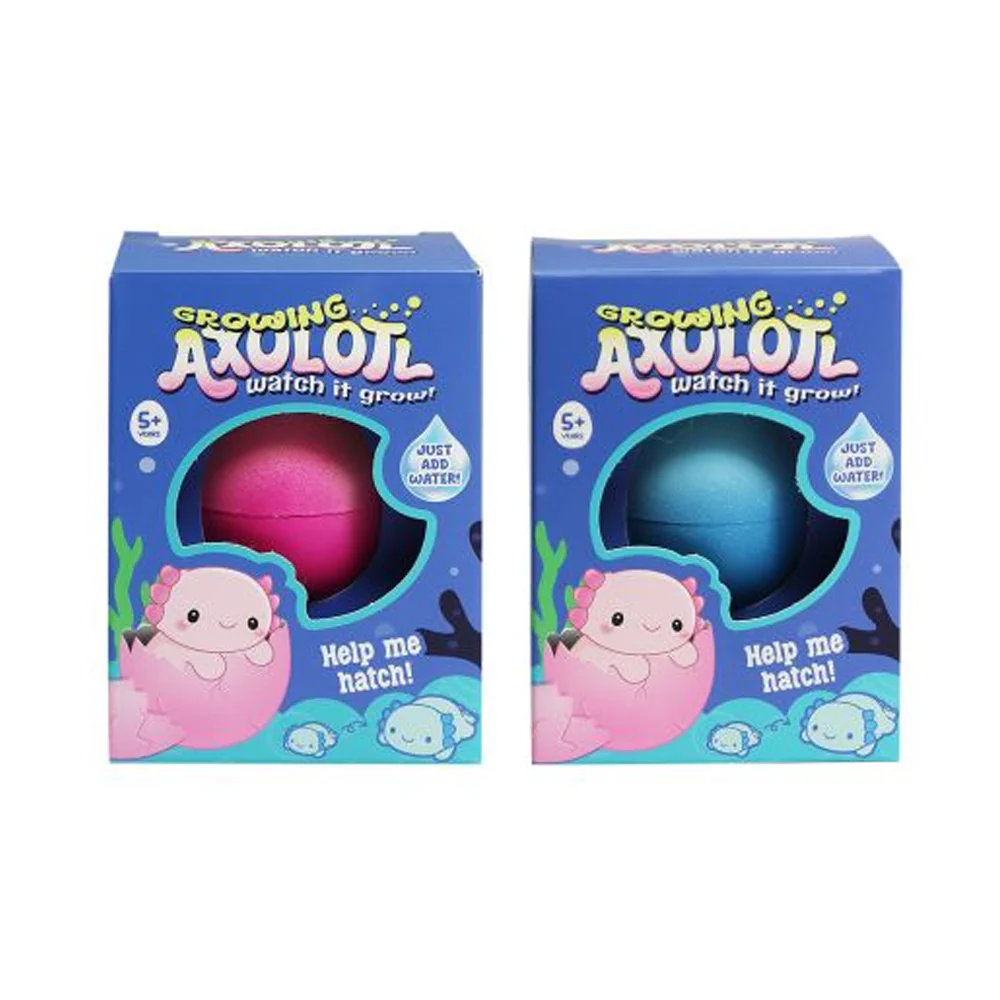Growing Axolotl in Egg - Image 3