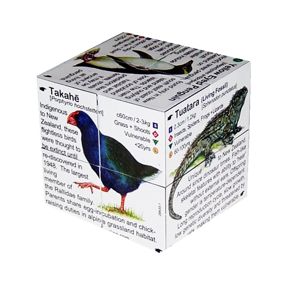 New Zealand Wildlife Cube Book