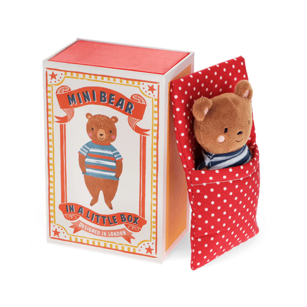 Rex Mini Bear In a Little Box - Image 5