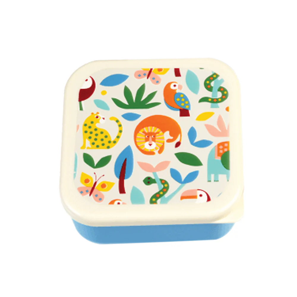 Rex Snack Box Wild Wonders - Image 3