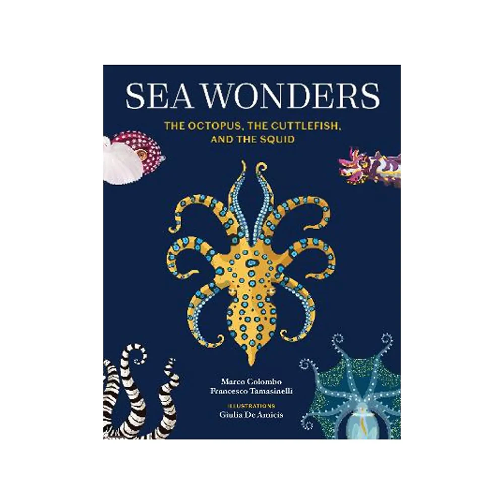 Sea Wonders The Octopus the Cuttlefish and the Squid